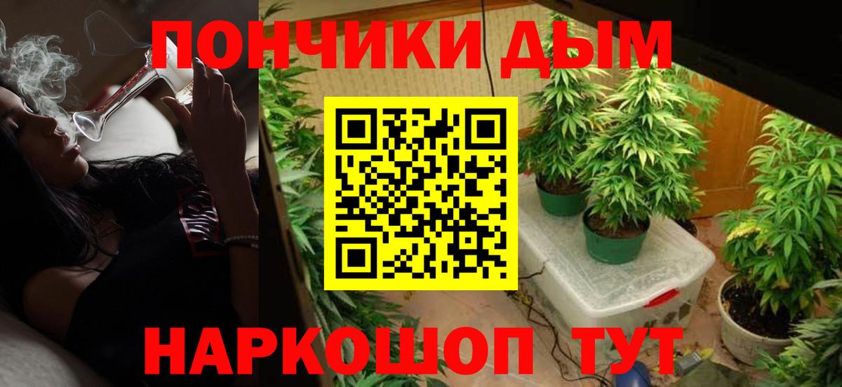 Канабис OG Kush Сальск